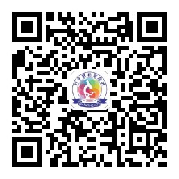 手机网站